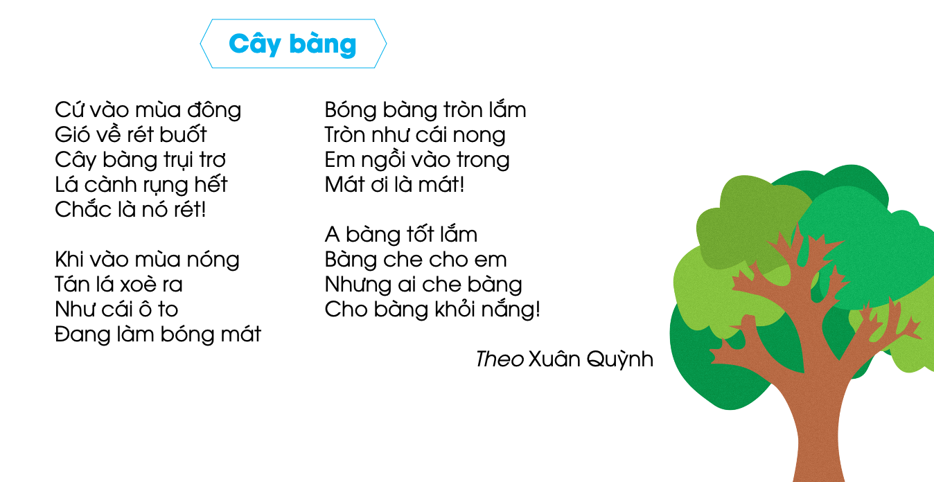 Bài thơ Cây bàng